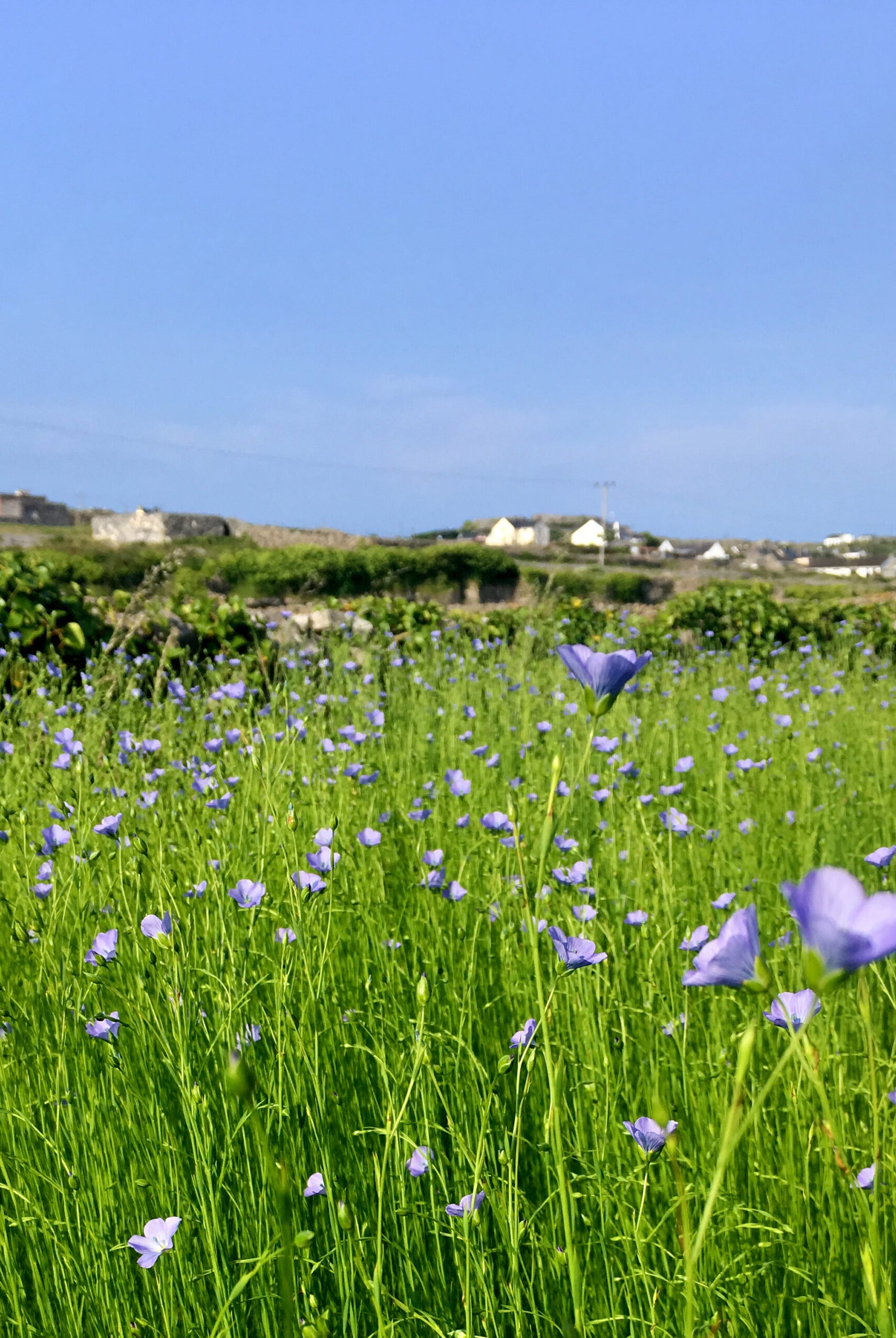 The Texture of History... Linen on Inis Meáin